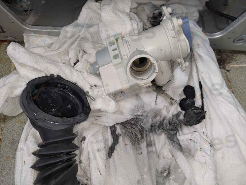 衣袋裡的米粉化身「塞喉元兇」，導致這部西門子WM系列洗衣機顯示E36-10 🥣