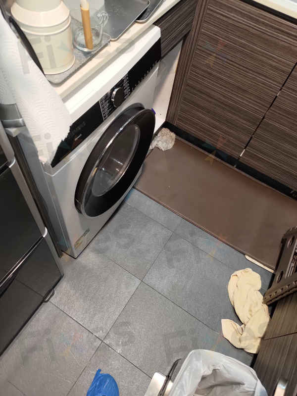 出現故障碼E36😱Siemens西門子前置式洗衣機 WG54A2A0HK/01