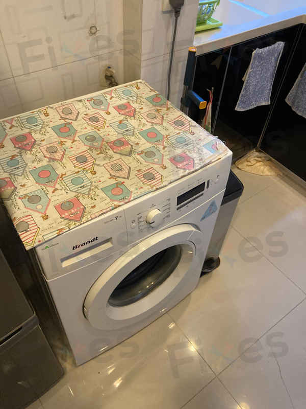 搬家在即的白朗洗衣機故障，這位客戶如何明智選擇維修方案 🏠