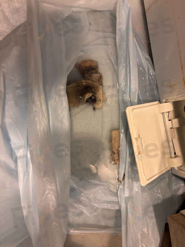 Cristal尼斯洗衣機的Err2故障碼：客戶如何解決排水問題？🚿