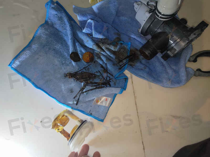 出現故障碼F05💧Scholtes前置式洗衣機 SDLE129EU