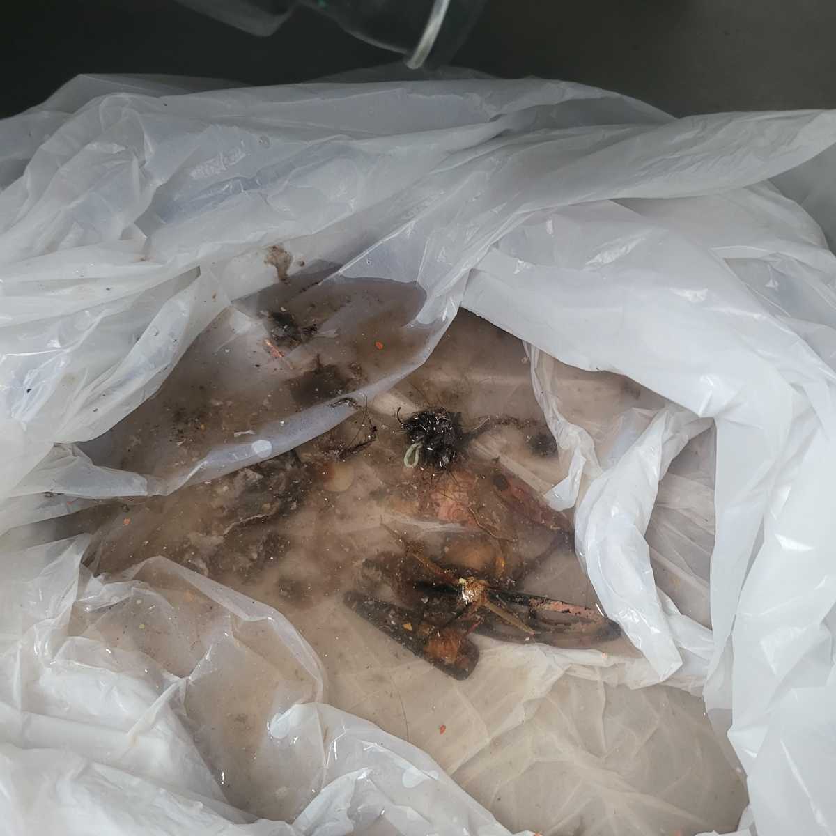 惠而浦洗衣機F05故障碼?客戶驚訝發現口袋物品成元兇 🙀