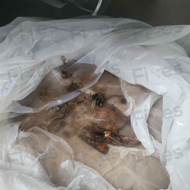 惠而浦洗衣機F05故障碼?客戶驚訝發現口袋物品成元兇 🙀