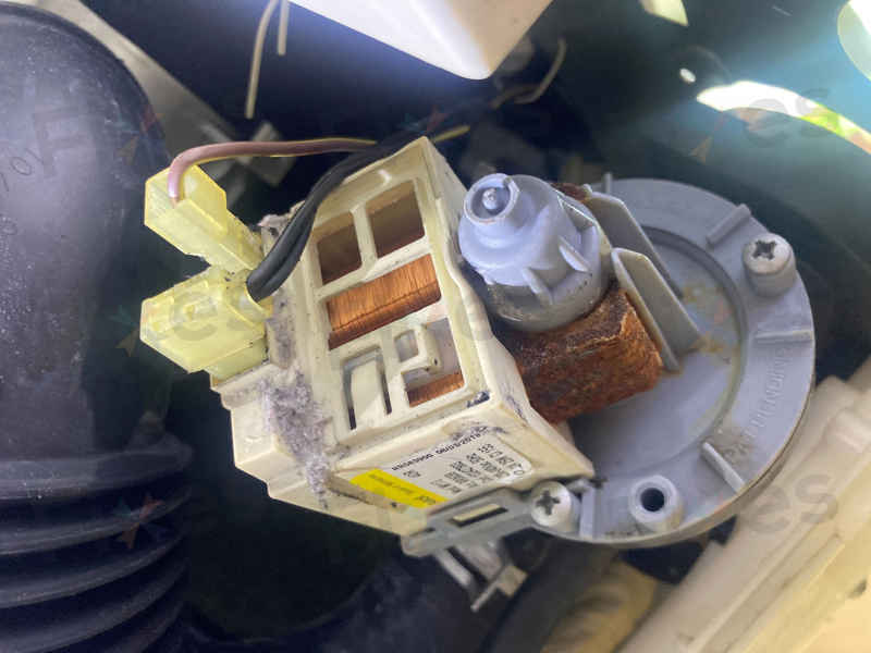 這部LG洗衣機的排水泵更換過程，解決了OE故障碼 🔧