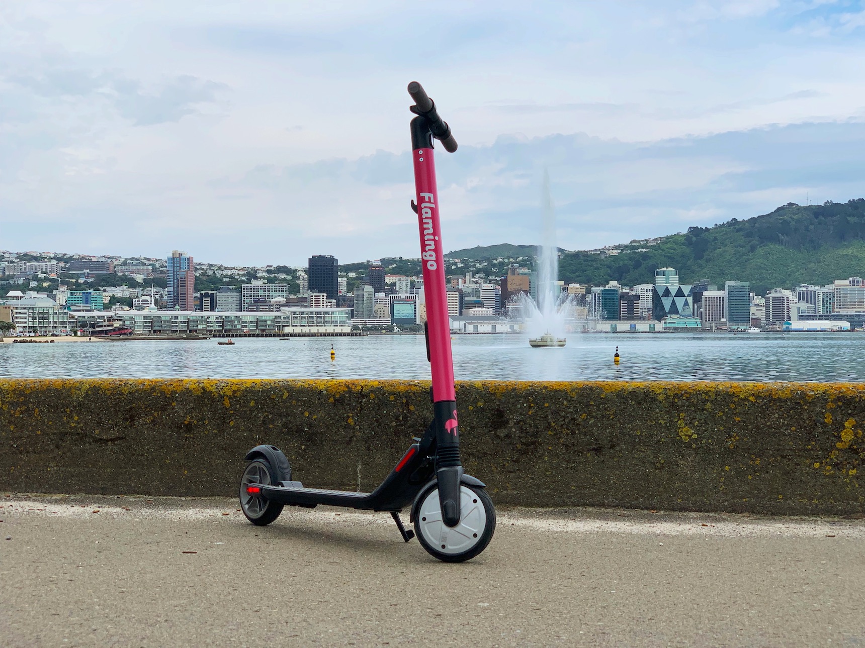 Flamingo Scooters