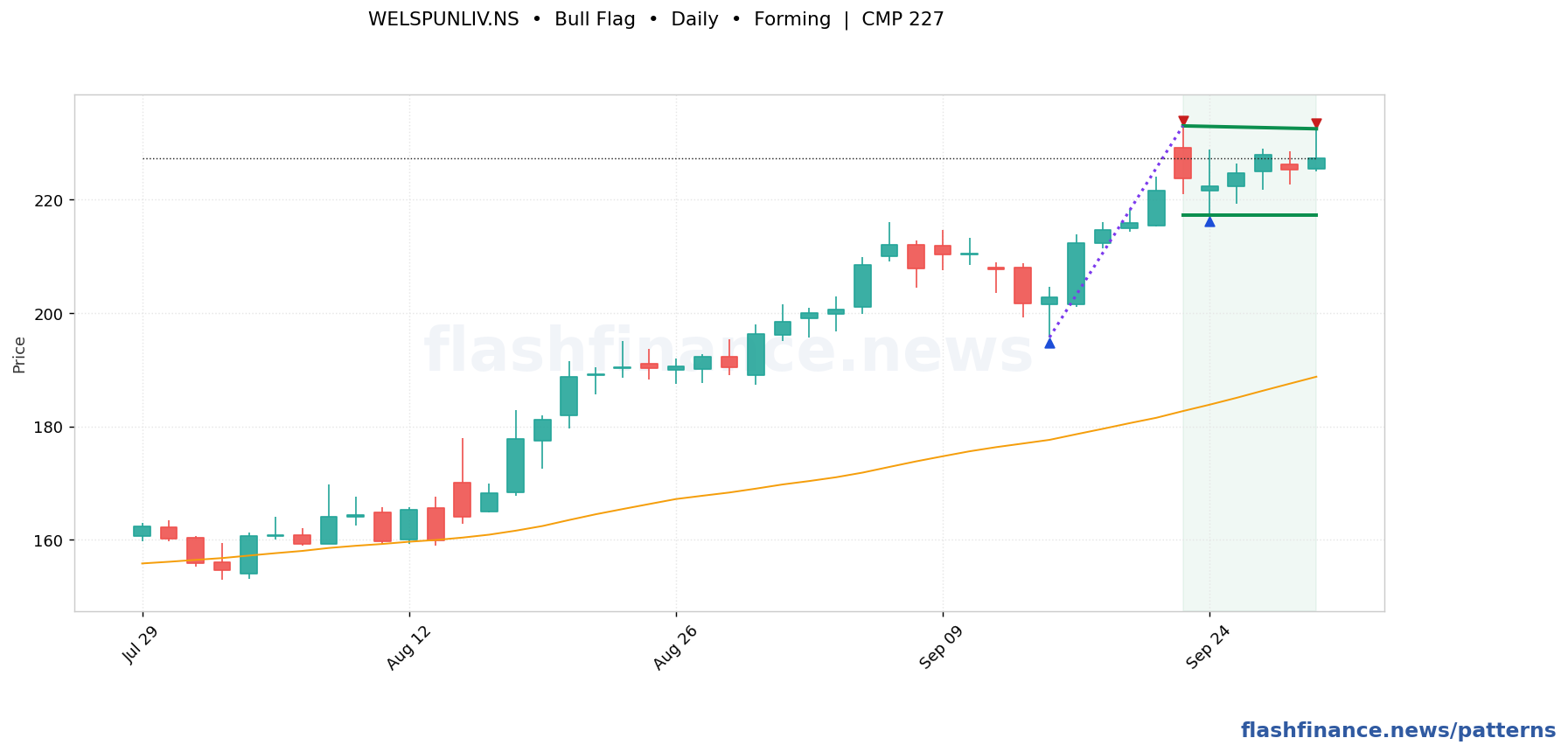 WELSPUNLIV bull flag pattern on daily candles with boundaries, swing pivots and target marked
