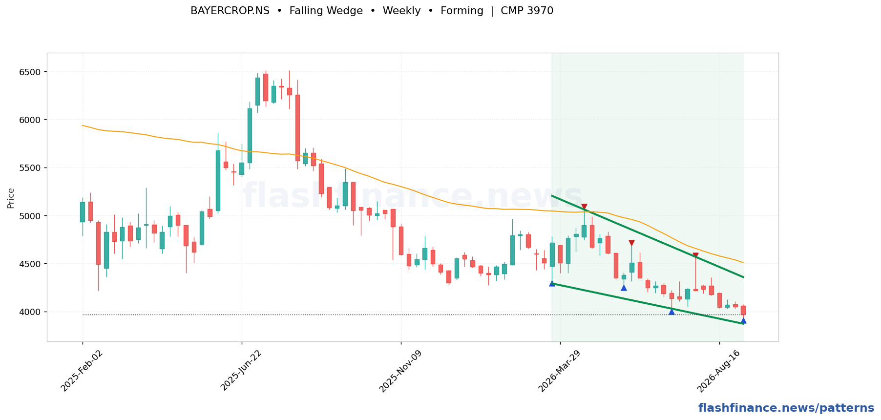 BAYERCROP falling wedge pattern on weekly candles with boundaries, swing pivots and target marked