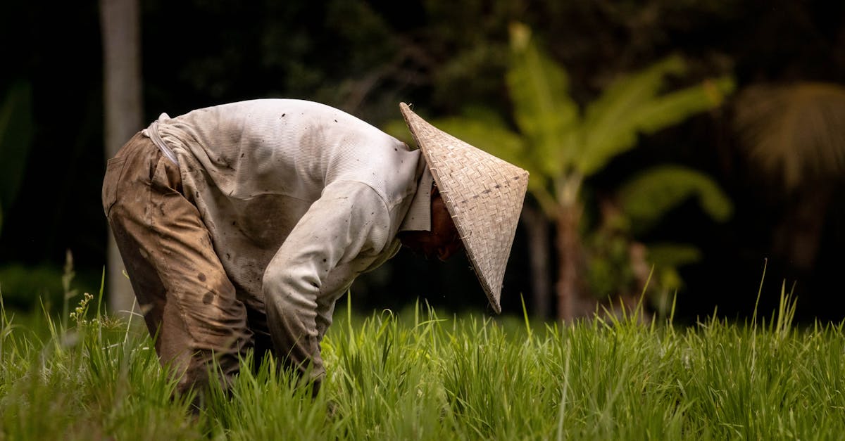 Conceptos Clave en Prevención de Riesgos Laborales en España