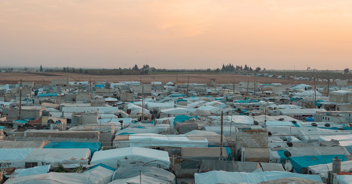 Intermediate Insights into Migration and Social Change