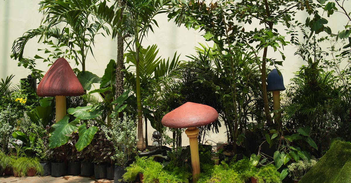 20 Datos Clave sobre Rómulo Gallegos y su Legado