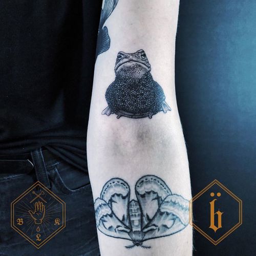 Brucius Tattoo - Tatouage et contact tatoueur