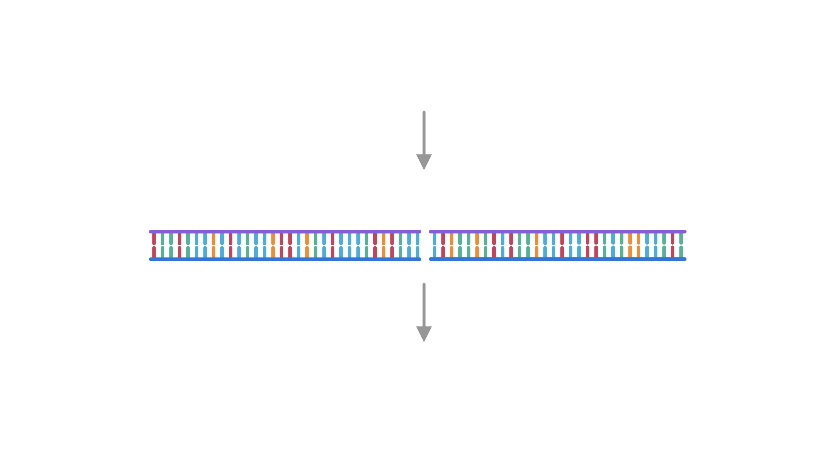 The Future of CRISPR in Agriculture