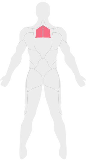 Major and Minor Rhomboids