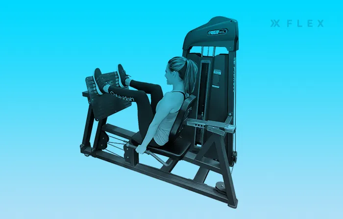 a seated leg press