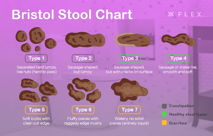 Bristol Stool Chart