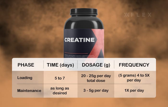 Table of creatine loading cycle: 7-day breakdown of how much creatine someone could take during their loading cycle for safe creatine usage