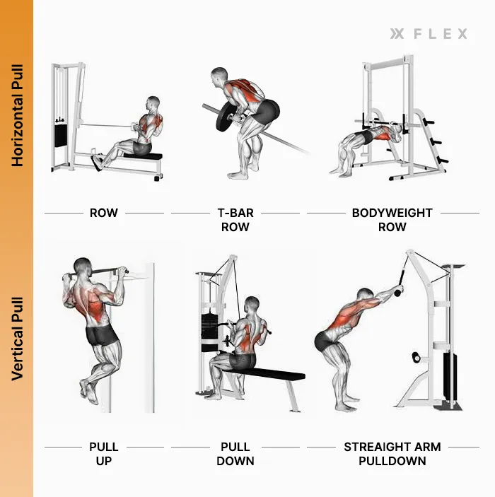 Horizontal Pull Exercises - 01