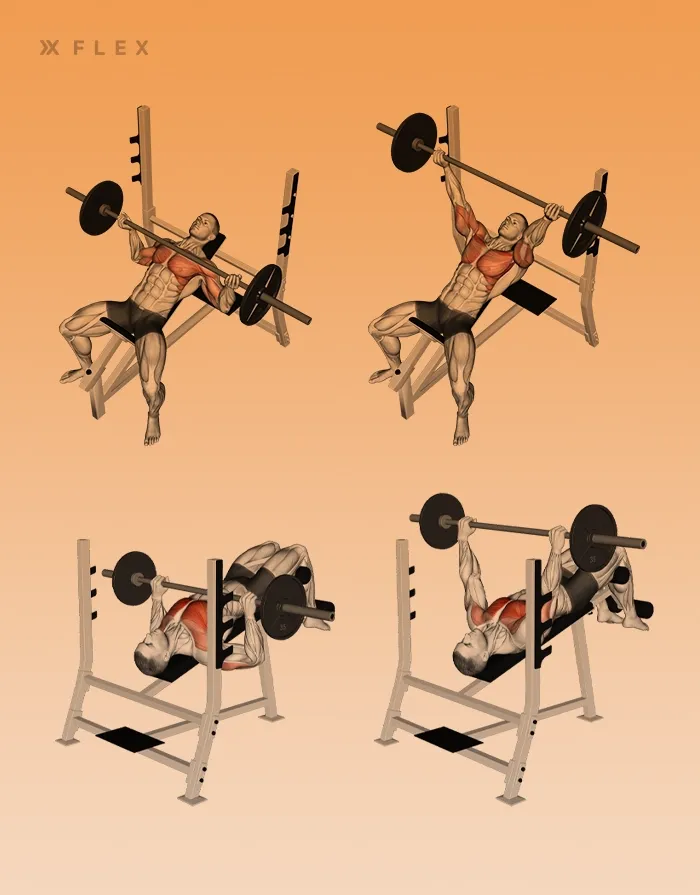 Inclined vs. declined bench press side-by-side comparison