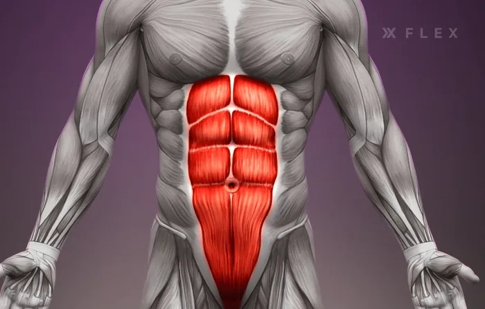 The Ultimate Guide to Developing the Coveted V Line in Men Flex AI