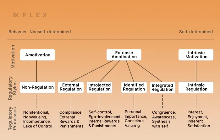 The Self-Determination Continuum table