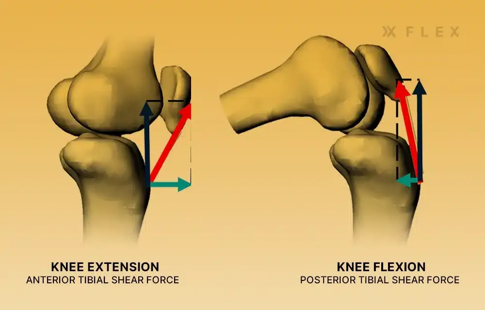 shear force