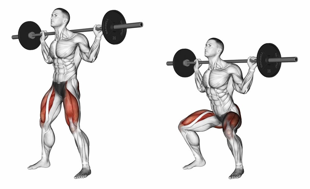 Barbell back squat how to