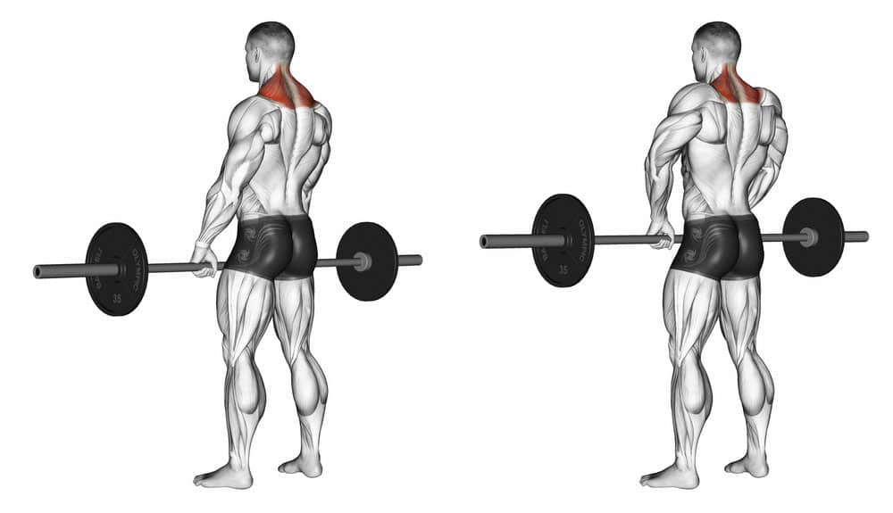 Barbell shrug