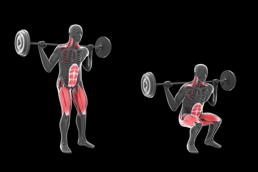 3D squat illustration