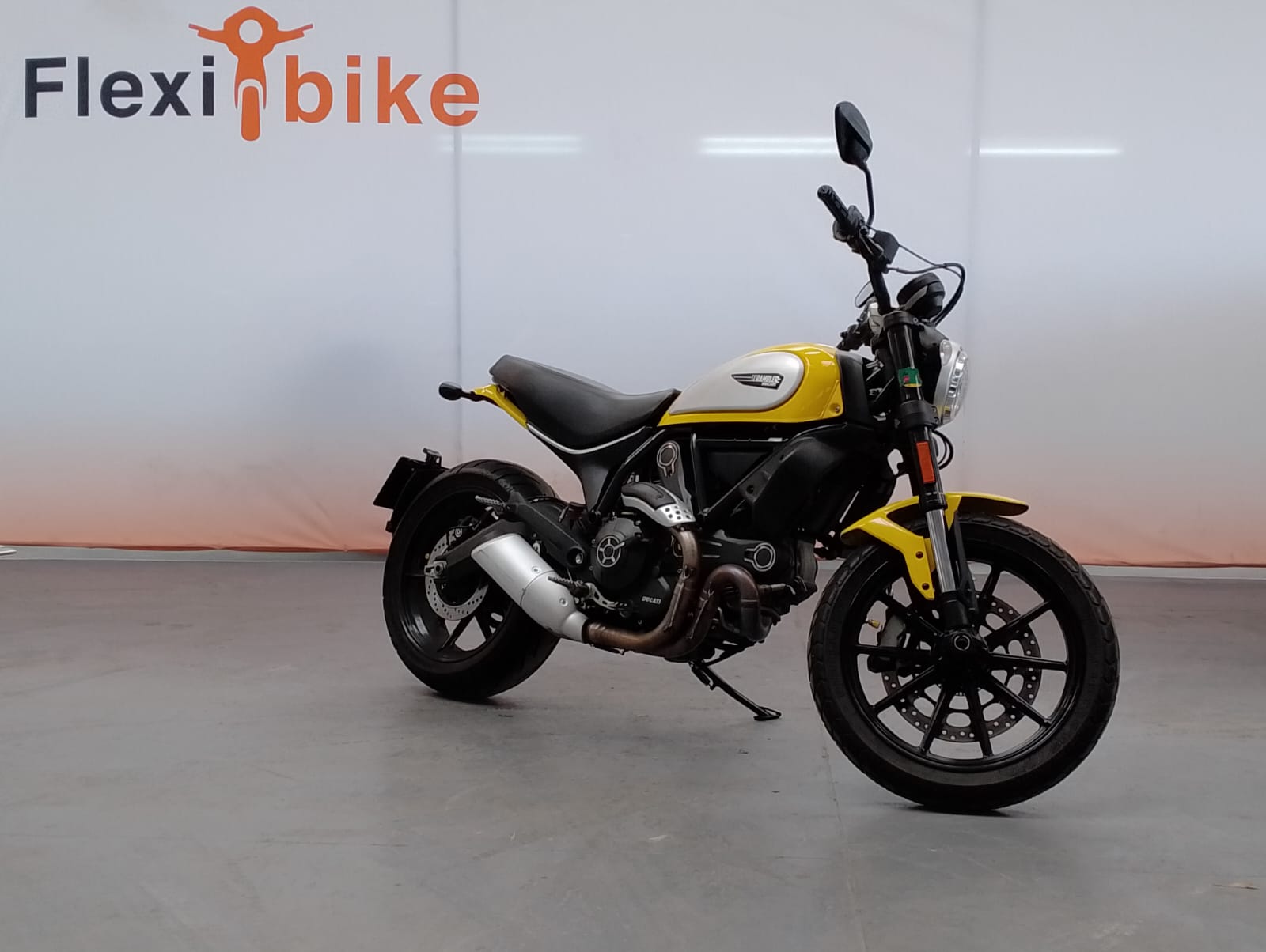 ▷ Ducati Scrambler 1100 Tribute PRO - Precio, ficha técnica, opiniones y  ofertas