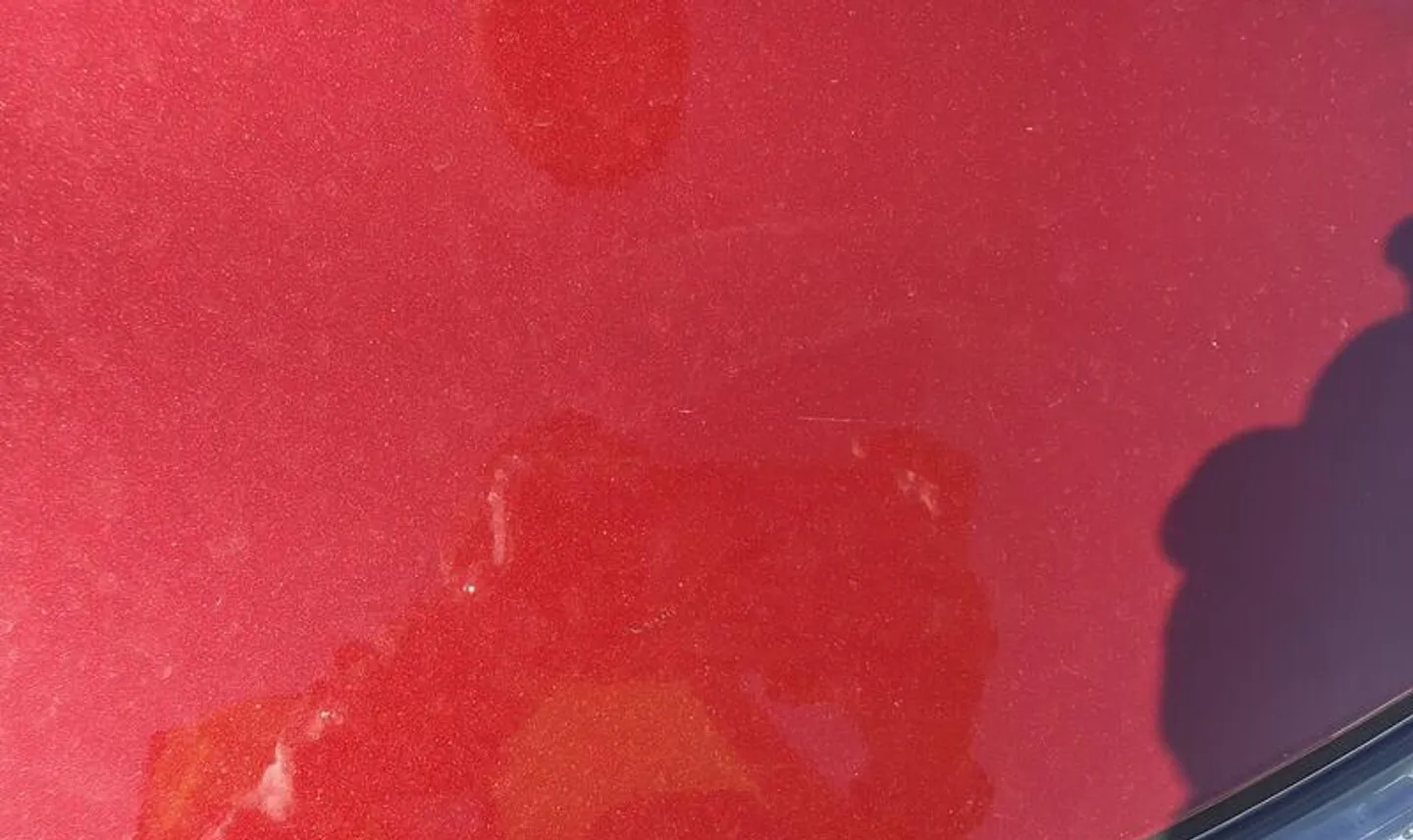 Slide 24