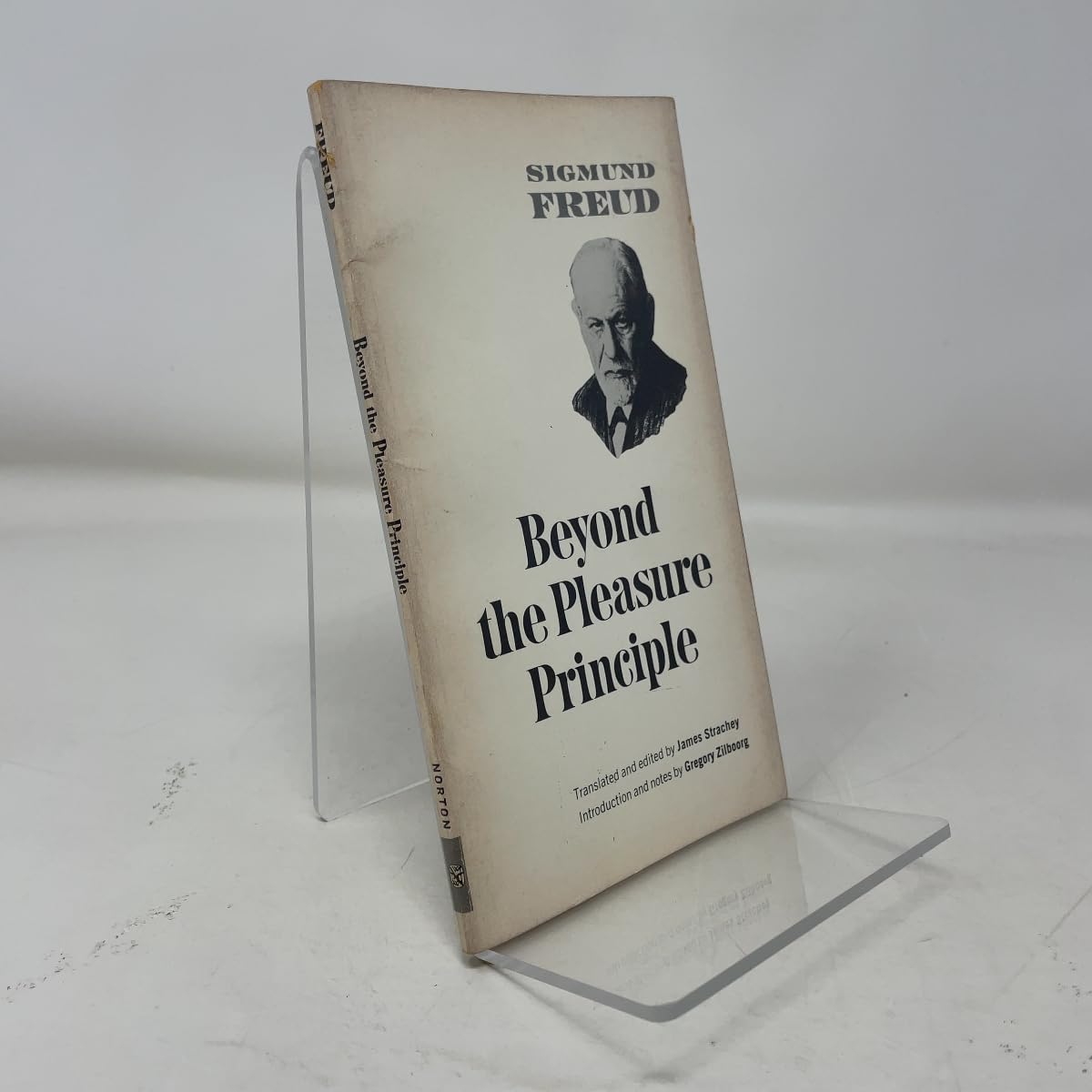 Beyond the Pleasure Principle book cover
