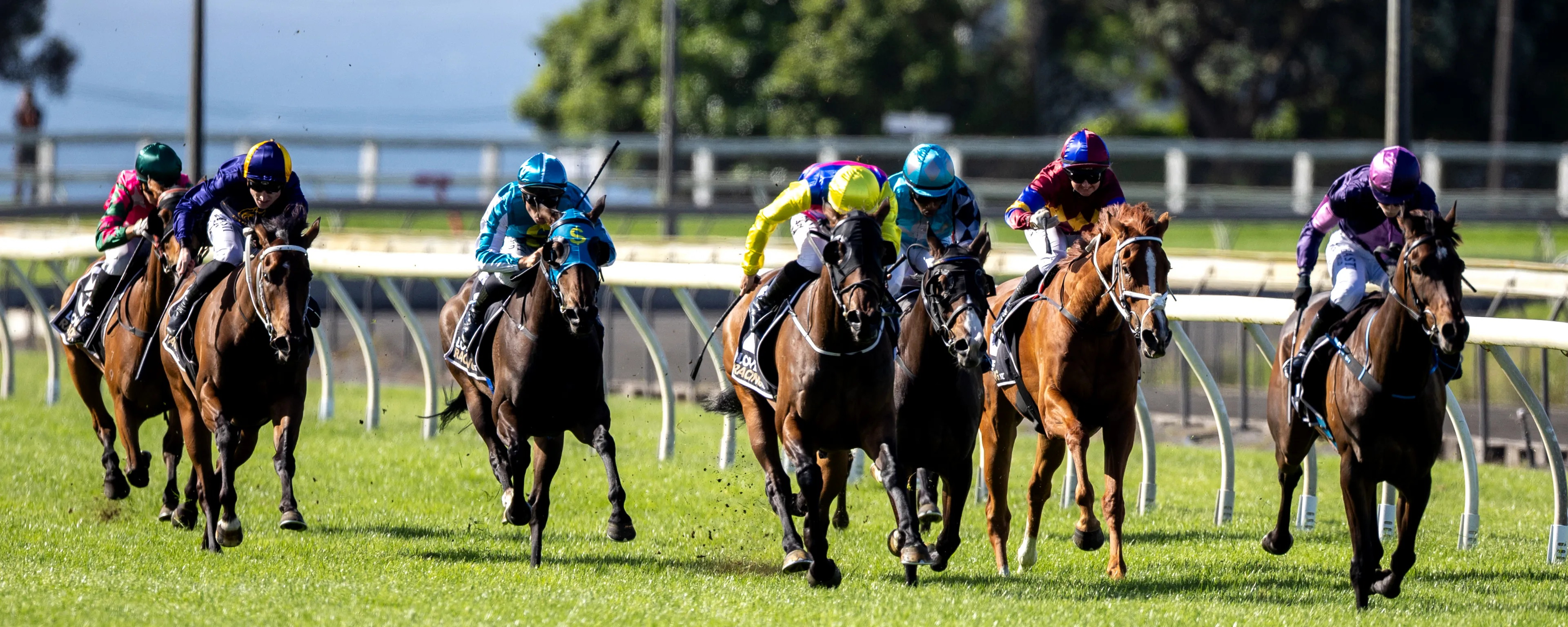 Buy Tickets - New Year’s Eve at the Races 2025