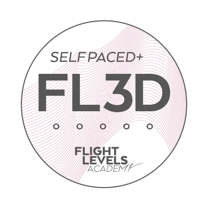 Flight Level 3 Design