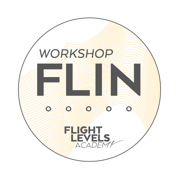 Workshop Sticker FLIN