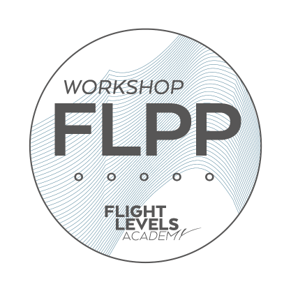 Sticker: Flight Levels Professional Program