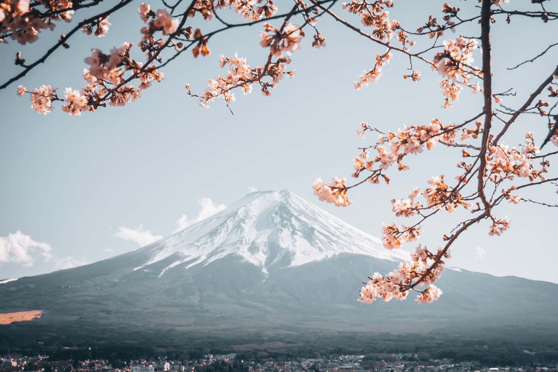 Ingin Kuliah ke Jepang? Ini dia 6 Universitas Terbaik di Jepang