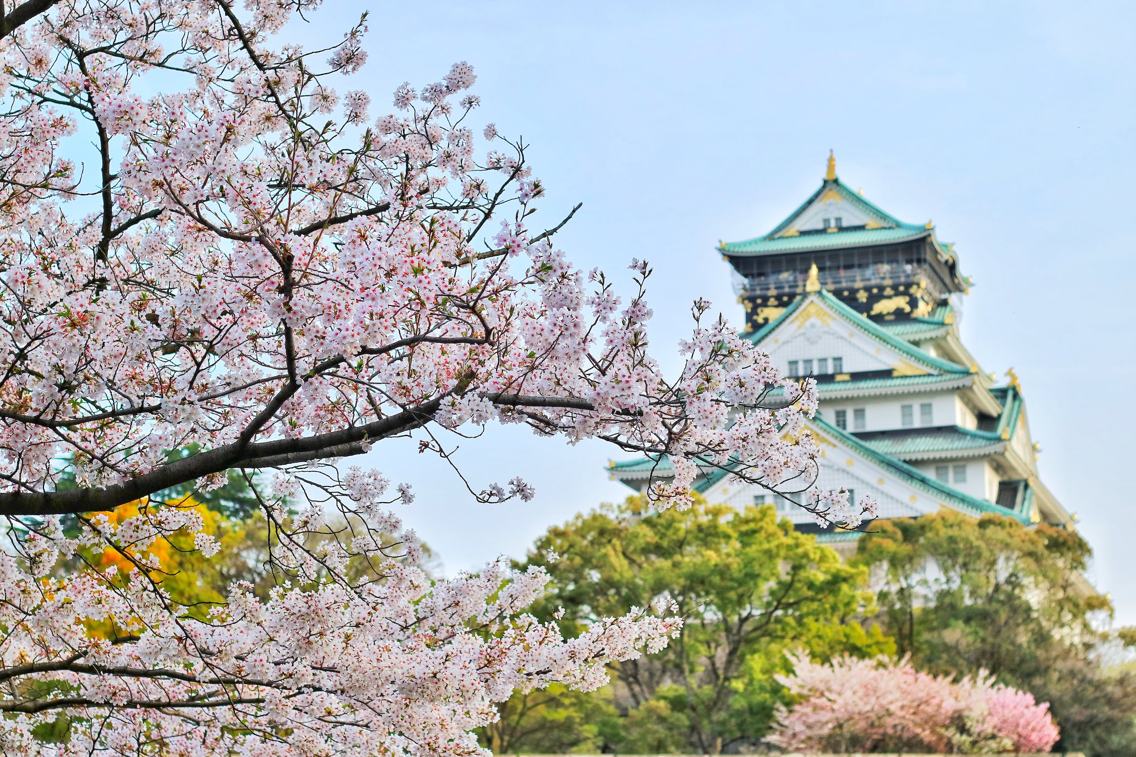 9 Tempat Wisata di Jepang Paling Recommended!