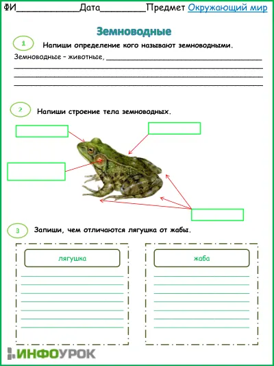 Рабочий лист по окружающему миру. Земноводные cover