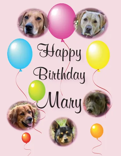 Happy Birthday Mary cover