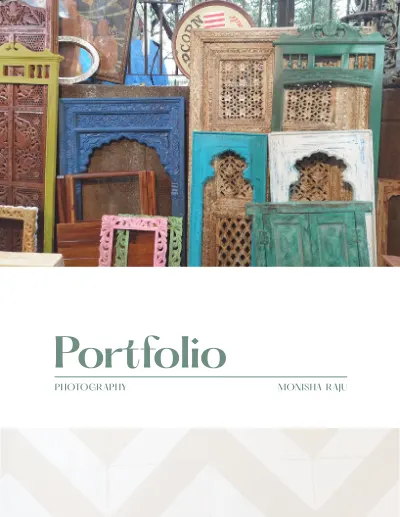 Portfolio photography monisha raju cover
