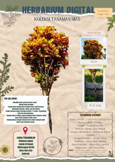 Herbarium Digital Tanaman Hias Puring cover