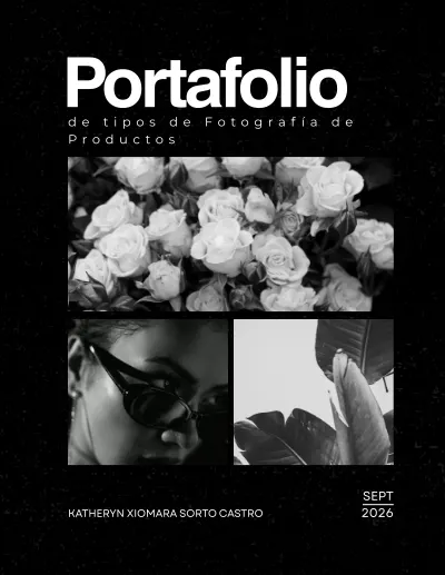 Portafolio de Tipos de Fotografía de Productos cover