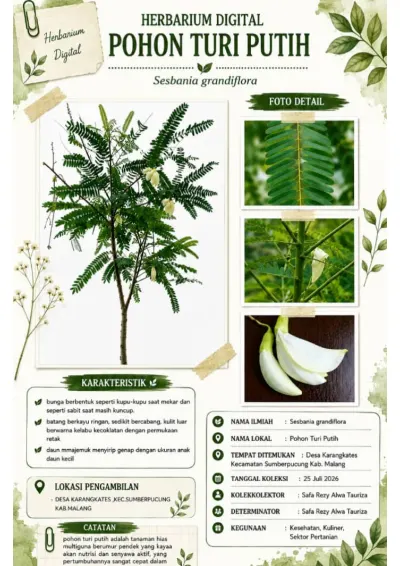 pohon turi putih cover