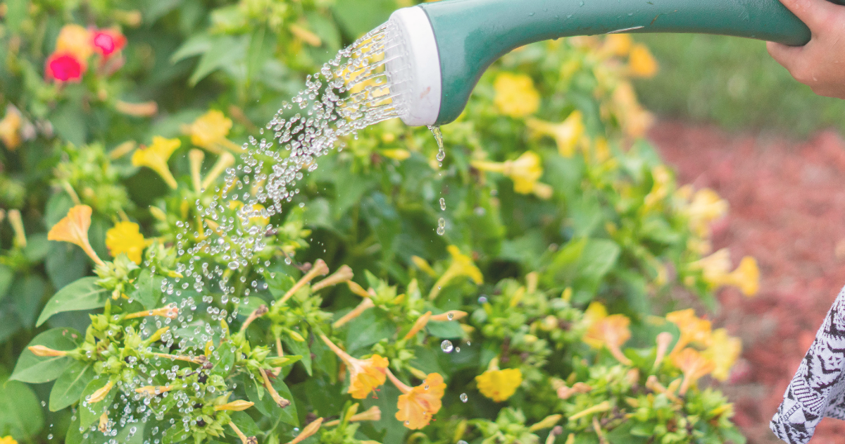 Increase Water Gradually.png