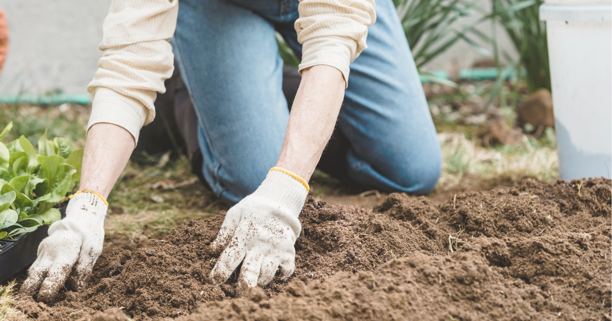 Clean up garden beds.png