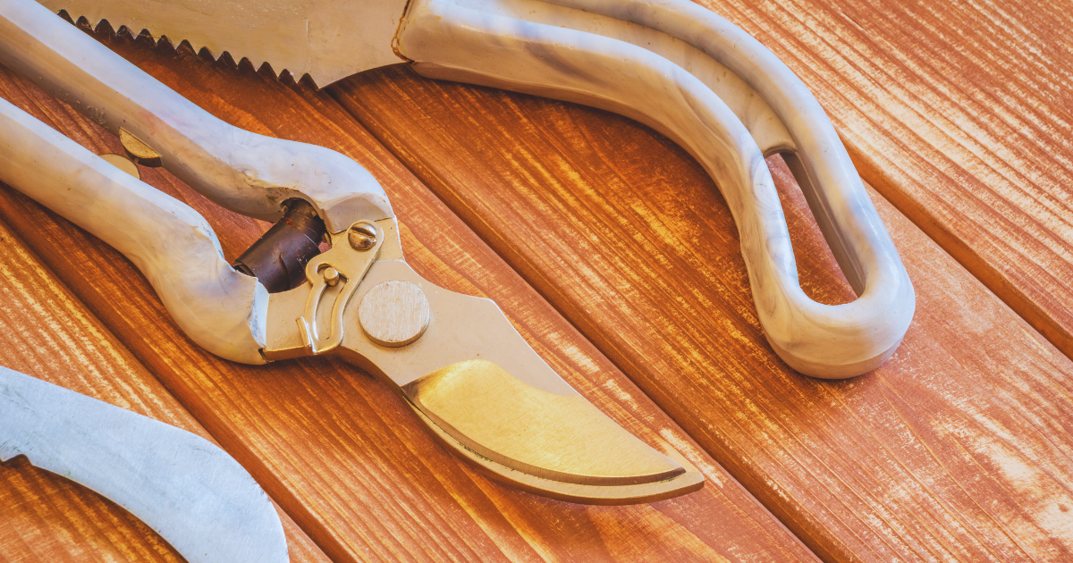 Tools Needed for Pruning.png