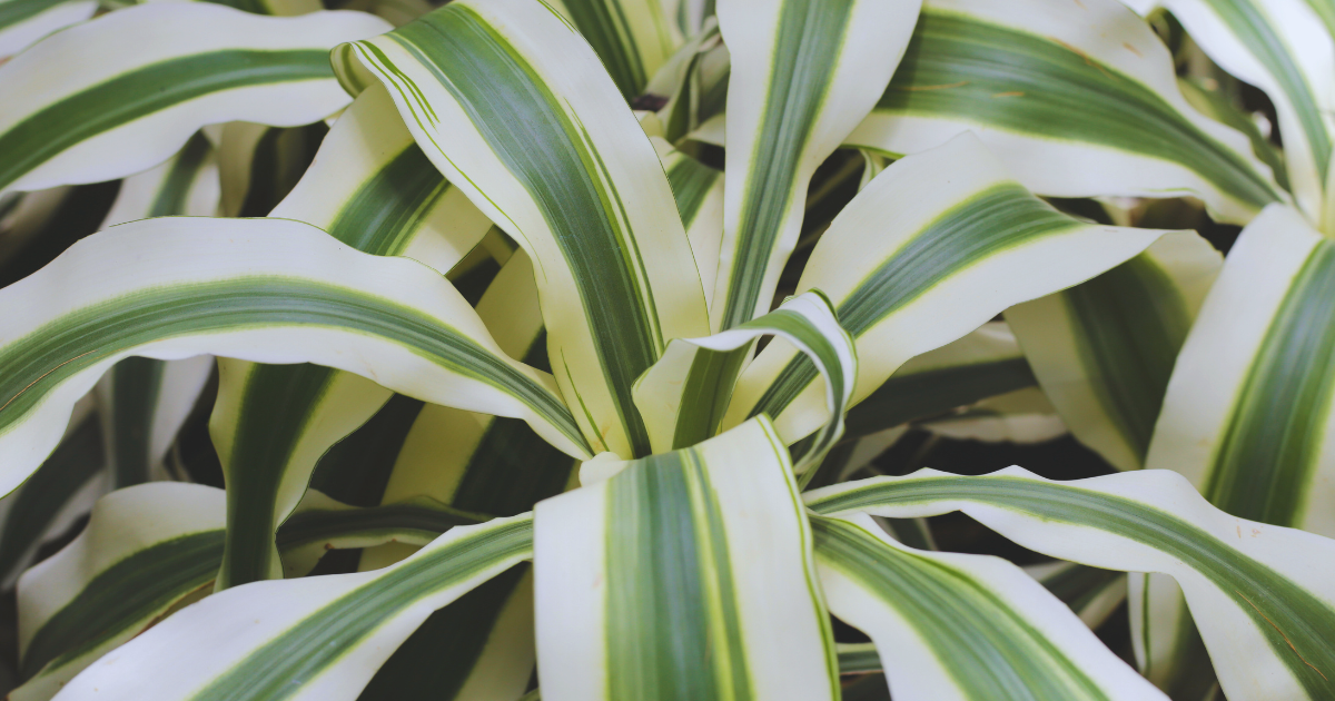 Preventive Care Tips.png Preventive Care Tips.png