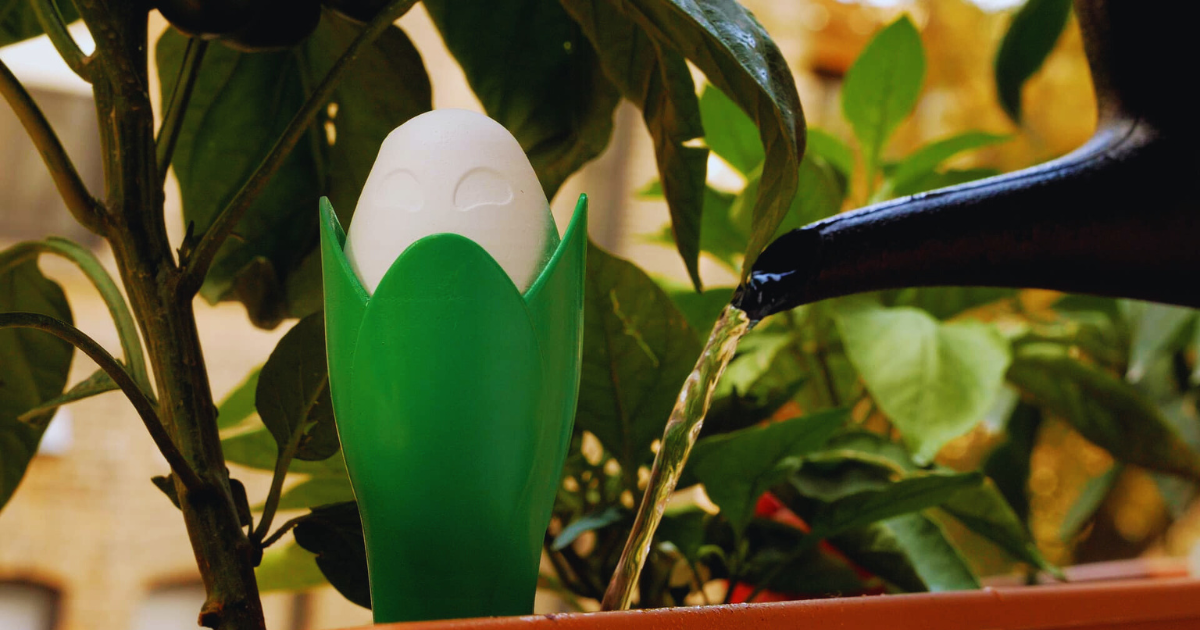 Overwatering Prevention.png