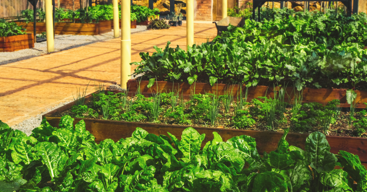 Raised Bed Maintenance Essentials.png