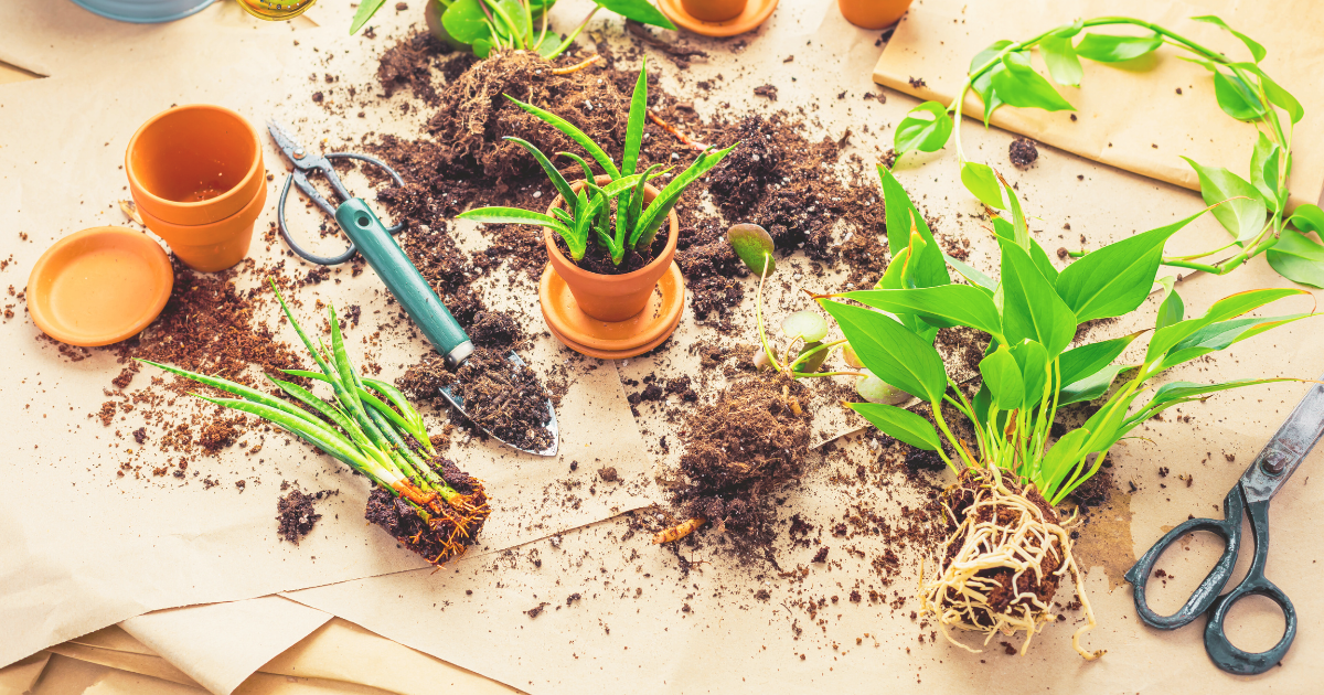 Tools for Indoor Propagation.png